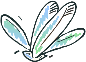 Helicopter Seeds- How Plants Travel